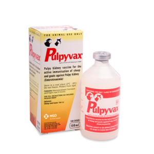 Pulpyvax® 100ml